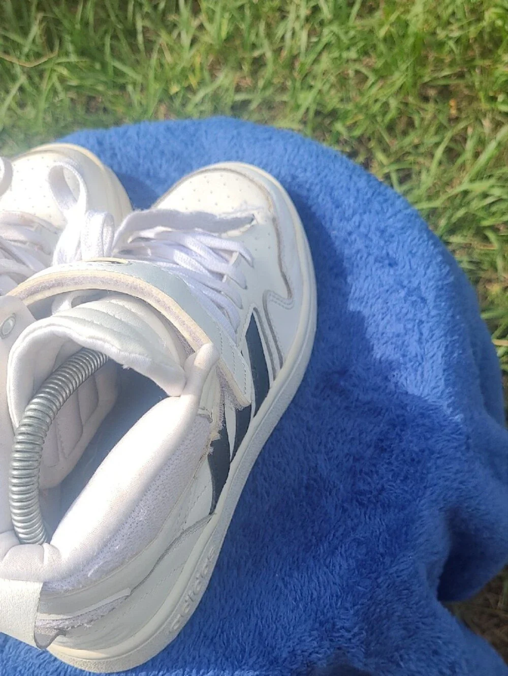 adidas women cloud